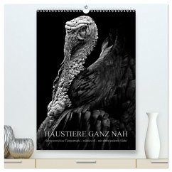 HAUSTIERE GANZ NAH (hochwertiger Premium Wandkalender 2024 DIN A2 hoch), Kunstdruck in Hochglanz