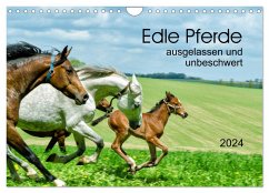 Edle Pferde - ausgelassen und unbeschwert (Wandkalender 2024 DIN A4 quer), CALVENDO Monatskalender