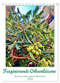 Faszinierende Olivenbäume (Tischkalender 2024 DIN A5 hoch), CALVENDO Monatskalender - Stachanczyk, Katharina