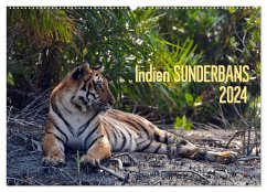Indien Sunderbans (Wandkalender 2024 DIN A2 quer), CALVENDO Monatskalender