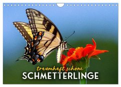 Traumhaft schöne Schmetterlinge (Wandkalender 2024 DIN A4 quer), CALVENDO Monatskalender