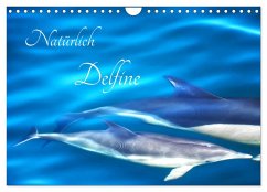 Natürlich Delfine (Wandkalender 2024 DIN A4 quer), CALVENDO Monatskalender