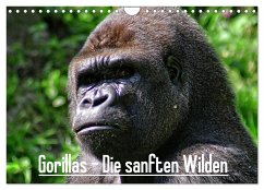 Gorillas - Die sanften Wilden (Wandkalender 2024 DIN A4 quer), CALVENDO Monatskalender