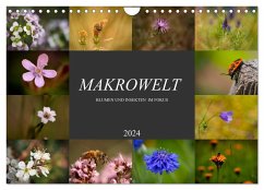 Makrowelt - Blumen und Insekten im Fokus (Wandkalender 2024 DIN A4 quer), CALVENDO Monatskalender