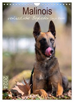 Malinois verlässliche Begleiter (Wandkalender 2024 DIN A4 hoch), CALVENDO Monatskalender