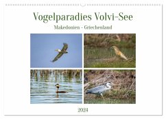 Vogelparadies Volvi-See (Wandkalender 2024 DIN A2 quer), CALVENDO Monatskalender