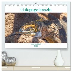 Die Galapagosinseln - Santa Cruz Island (hochwertiger Premium Wandkalender 2024 DIN A2 quer), Kunstdruck in Hochglanz