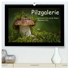 Pilzgalerie - Heimische Pilze aus der Region Rheinland-Pfalz (hochwertiger Premium Wandkalender 2024 DIN A2 quer), Kunstdruck in Hochglanz