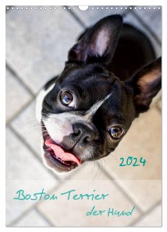 Boston Terrier der Hund 2024 (Wandkalender 2024 DIN A3 hoch), CALVENDO Monatskalender - Schwarz, Nailia