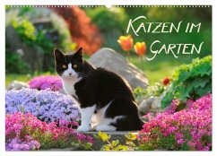 Katzen im Garten (Wandkalender 2024 DIN A2 quer), CALVENDO Monatskalender - Menden, Katho