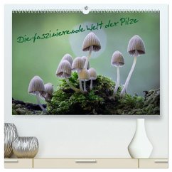 Die faszinierende Welt der Pilze (hochwertiger Premium Wandkalender 2024 DIN A2 quer), Kunstdruck in Hochglanz
