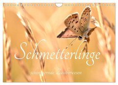 Schmetterlinge. Schimmernde Zauberwesen (Wandkalender 2024 DIN A4 quer), CALVENDO Monatskalender - AnetaZofia