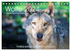 Wölfe 2024. Tierische Impressionen (Tischkalender 2024 DIN A5 quer), CALVENDO Monatskalender - Lehmann, Steffani