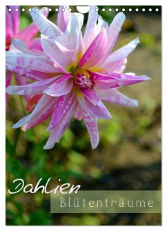 Dahlien - Blütenträume (Wandkalender 2024 DIN A4 hoch), CALVENDO Monatskalender
