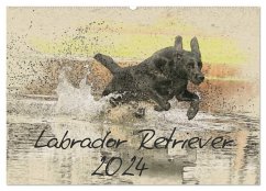 Labrador Retriever 2024 (Wandkalender 2024 DIN A2 quer), CALVENDO Monatskalender