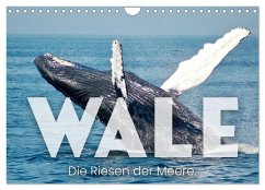 Wale - Die Riesen der Meere. (Wandkalender 2024 DIN A4 quer), CALVENDO Monatskalender