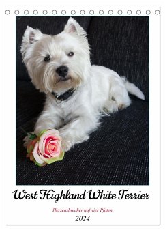 West Highland White Terrier - Herzensbrecher auf vier Pfoten (Tischkalender 2024 DIN A5 hoch), CALVENDO Monatskalender - Rohde, Angela