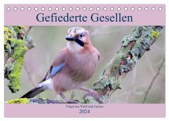 Gefiederte Gesellen - Vögel aus Wald und Garten (Tischkalender 2024 DIN A5 quer), CALVENDO Monatskalender