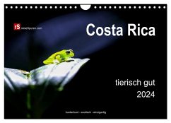 Costa Rica tierisch gut 2024 (Wandkalender 2024 DIN A4 quer), CALVENDO Monatskalender
