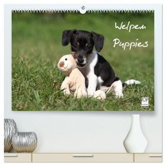 Welpen - Puppies (hochwertiger Premium Wandkalender 2024 DIN A2 quer), Kunstdruck in Hochglanz
