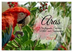 Aras - die fliegenden Edelsteine Mittel- und Südamerikas (Wandkalender 2024 DIN A2 quer), CALVENDO Monatskalender