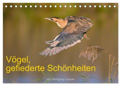 Vögel, Gefiederte Schönheiten (Tischkalender 2024 DIN A5 quer), CALVENDO Monatskalender
