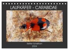 LAUFKÄFER - CARABIDAE (Tischkalender 2024 DIN A5 quer), CALVENDO Monatskalender