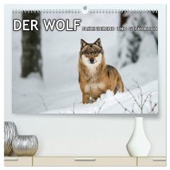 DER WOLF - faszinierend und gefährlich (hochwertiger Premium Wandkalender 2024 DIN A2 quer), Kunstdruck in Hochglanz