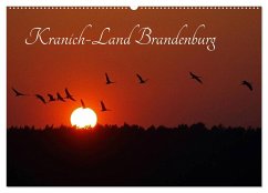 Kranich-Land Brandenburg (Wandkalender 2024 DIN A2 quer), CALVENDO Monatskalender