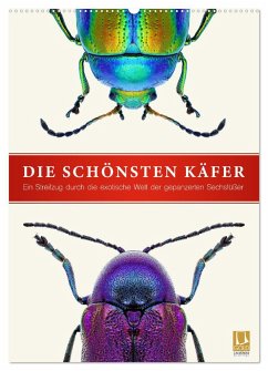 Die schönsten Käfer (Wandkalender 2024 DIN A2 hoch), CALVENDO Monatskalender