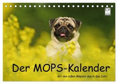Der MOPS-Kalender (Tischkalender 2024 DIN A5 quer), CALVENDO Monatskalender