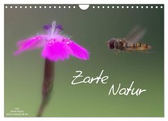 Zarte Natur 2024 (Wandkalender 2024 DIN A4 quer), CALVENDO Monatskalender