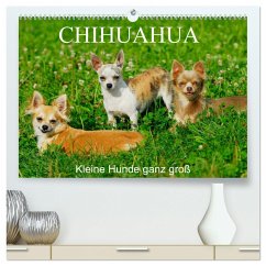 Chihuahua - Kleine Hunde ganz groß (hochwertiger Premium Wandkalender 2024 DIN A2 quer), Kunstdruck in Hochglanz