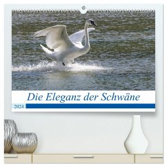 Die Eleganz der Schwäne (hochwertiger Premium Wandkalender 2024 DIN A2 quer), Kunstdruck in Hochglanz - Müller Fotografie, Andreas