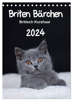 Briten Bärchen ¿ Britisch Kurzhaar 2024 (Tischkalender 2024 DIN A5 hoch), CALVENDO Monatskalender - Bollich, Heidi