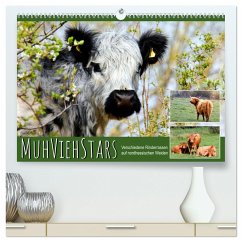 MuhViehStars (hochwertiger Premium Wandkalender 2024 DIN A2 quer), Kunstdruck in Hochglanz