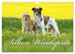 Silken Windsprite - Mit Merlin und Calisto durch´s Jahr 2024 (Wandkalender 2024 DIN A4 quer), CALVENDO Monatskalender