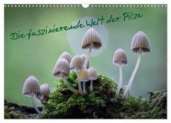 Die faszinierende Welt der Pilze (Wandkalender 2024 DIN A3 quer), CALVENDO Monatskalender