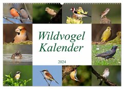 Wildvogelkalender (Wandkalender 2024 DIN A2 quer), CALVENDO Monatskalender