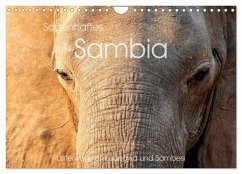 Sagenhaftes Sambia - Unterwegs an Luangwa und Sambesi (Wandkalender 2024 DIN A4 quer), CALVENDO Monatskalender