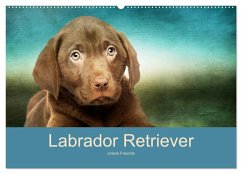 Labrador Retriever unsere Freunde (Wandkalender 2024 DIN A2 quer), CALVENDO Monatskalender