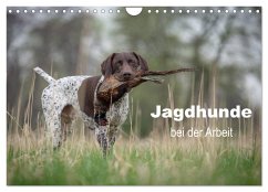 Jagdhunde bei der Arbeit (Wandkalender 2024 DIN A4 quer), CALVENDO Monatskalender - Brandt, Tanja