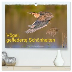Vögel, Gefiederte Schönheiten (hochwertiger Premium Wandkalender 2024 DIN A2 quer), Kunstdruck in Hochglanz - Lequen, Wolfgang