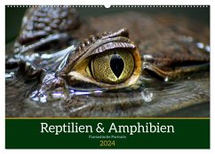 Reptilien & Amphibien Portraits (Wandkalender 2024 DIN A2 quer), CALVENDO Monatskalender - Vartzbed, Klaus