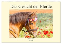 Das Gesicht der Pferde (Wandkalender 2024 DIN A2 quer), CALVENDO Monatskalender