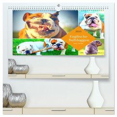 Dicke Freunde. Englische Bulldoggen (hochwertiger Premium Wandkalender 2024 DIN A2 quer), Kunstdruck in Hochglanz