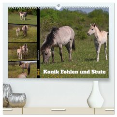 Mutterliebe - Konik Fohlen und Stute (hochwertiger Premium Wandkalender 2024 DIN A2 quer), Kunstdruck in Hochglanz
