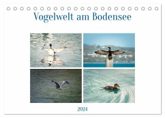 Vogelwelt am Bodensee 2024 (Tischkalender 2024 DIN A5 quer), CALVENDO Monatskalender