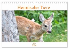 Heimische Tiere - Rehe (Wandkalender 2024 DIN A4 quer), CALVENDO Monatskalender