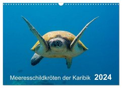 Meeresschildkröten der Karibik (Wandkalender 2024 DIN A3 quer), CALVENDO Monatskalender - Kühnast, Yvonne